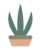 Illustration of a potted aloe plant with green leaves and a beige pot on a white background