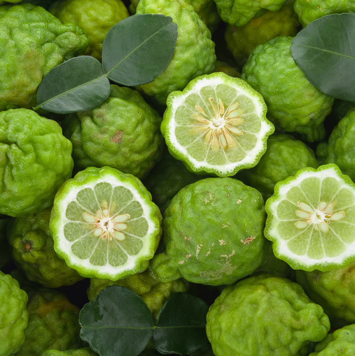 Green bergamot fruit with a few cut open to reveal white interior and yellow center, surrounded by green leaves.