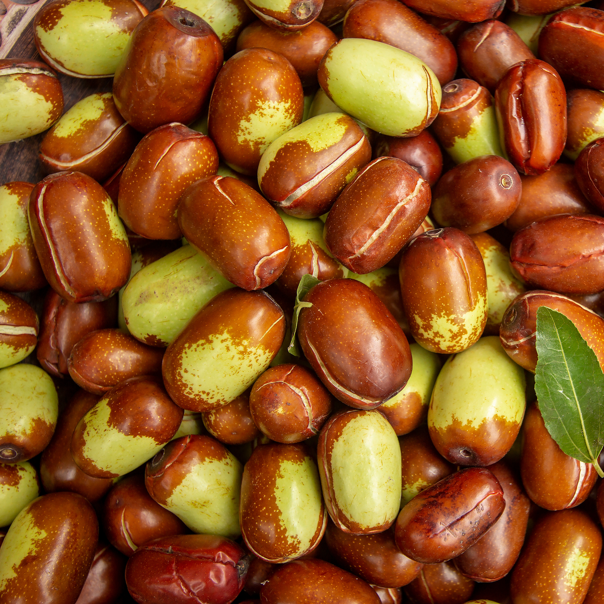 Close-up of jojoba fruits with a green leaf 